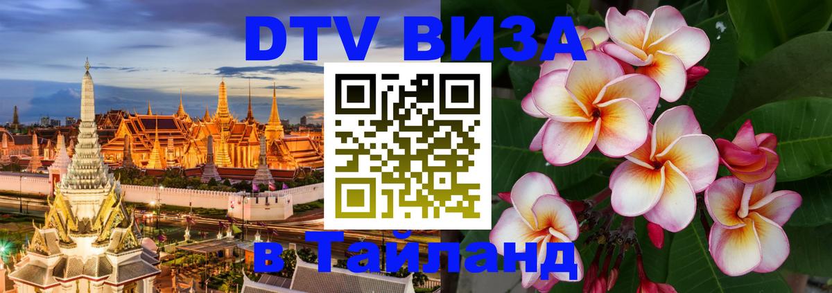 Оформление DTV визы под ключ: стоимость и тарифы, только загранпаспорт - 04.10.2025 